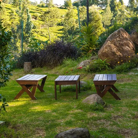 Ekostay - Winterfell Chalet Villa Coonoor Exterior photo